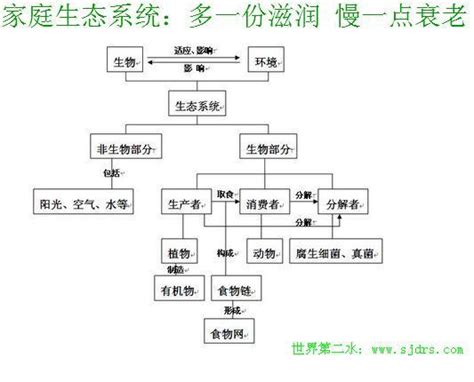 家庭生態圖是什麼|109上【社會工作會談與技巧】期末考重點整理第七章。